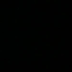 Meet your Posher, Shane